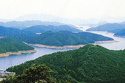 구룡산
