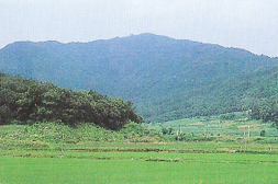 동림산
