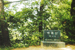 백족산