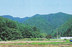좌구산
